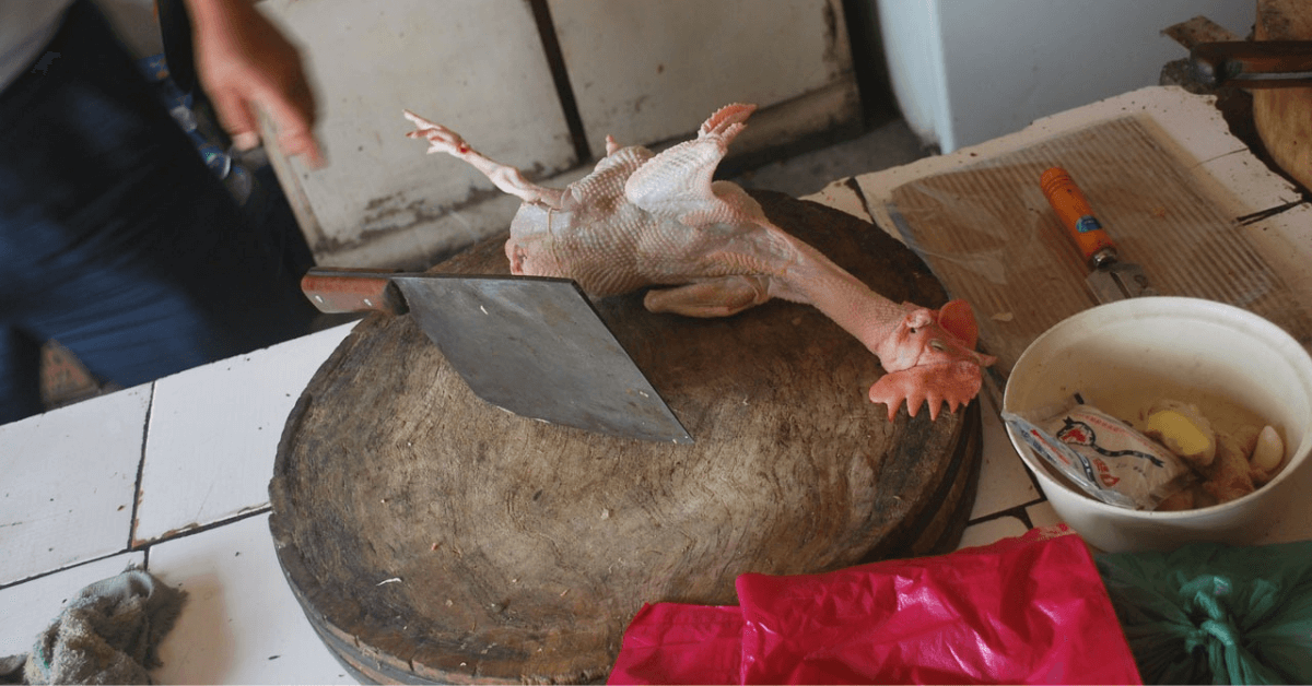Featured Image for Butchering Chickens